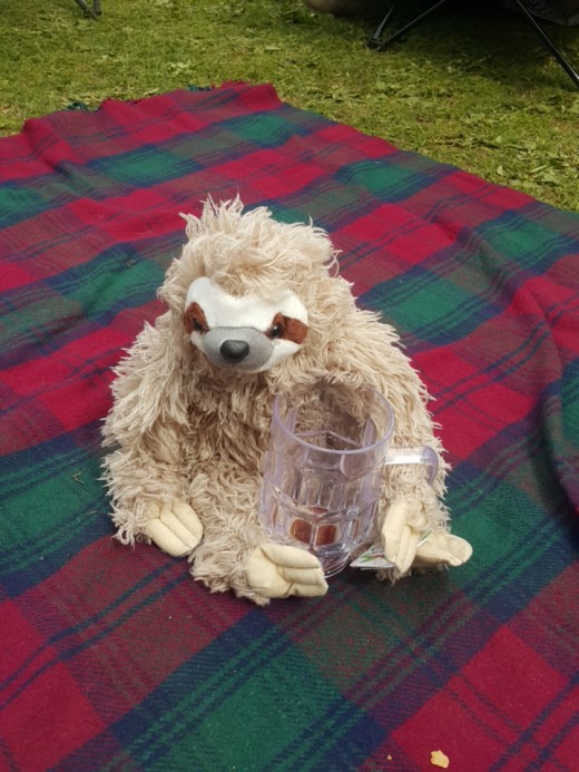 Happy Folk Festival camper